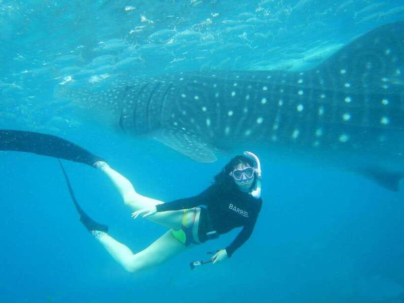 Cebu: Oslob Whale Sharks, Tumalog Falls & Sardine Snorkeling - Meeting the whale sharks in Oslob