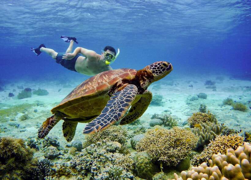 Cebu: Oslob Whale Sharks, Tumalog Falls & Sardine Snorkeling - Cooling off at Tumalog Falls