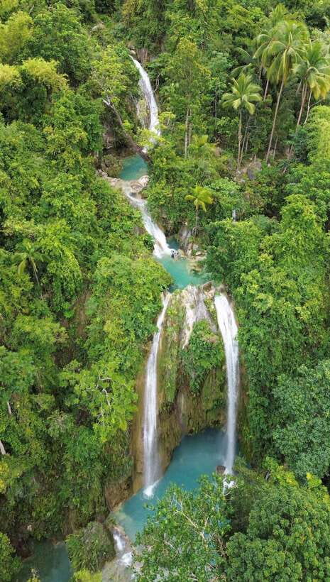 Cebu Oslob Whaleshark, Moalboal Sardines Run&Inambakan Falls - Three Cebu highlights packed into one long day
