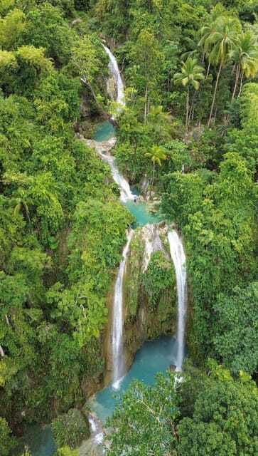 Cebu Oslob Whaleshark, Moalboal Sardines Run&Inambakan Falls - Should you book it?