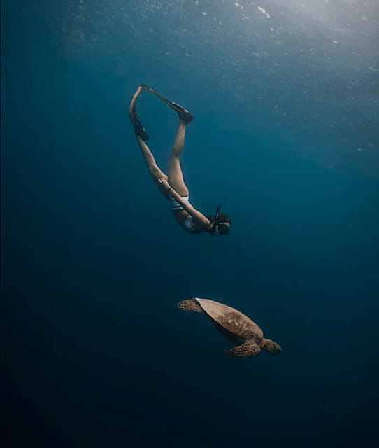 Cebu Oslob Whaleshark, Moalboal Sardines Run&Inambakan Falls - Small groups, private upgrades, and guide quality