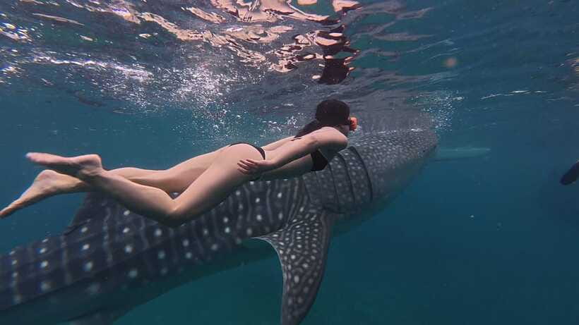 Cebu Oslob Whaleshark, Moalboal Sardines Run&Inambakan Falls - Inambakan Falls brings a needed pause