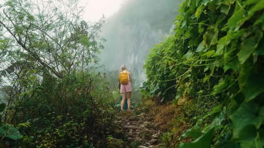 Cebu: Osmeña Peak and Kawasan Canyoneering Day Tour - Who will get the most from this tour?