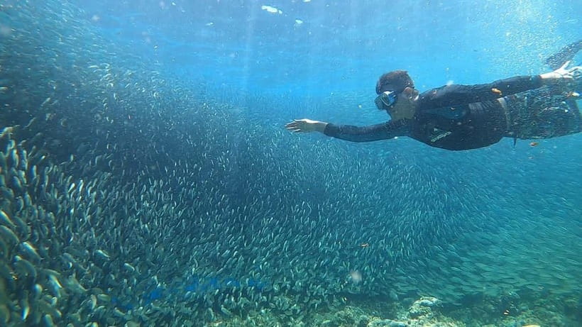 Cebu: Sardine Run Snorkeling, Mantayupan Falls & ATV Thrills - Breakfast is a stop, not a free meal