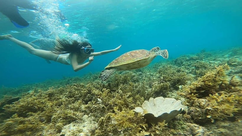 Cebu: Sardine Run Snorkeling, Mantayupan Falls & ATV Thrills - The guides can shape the whole day