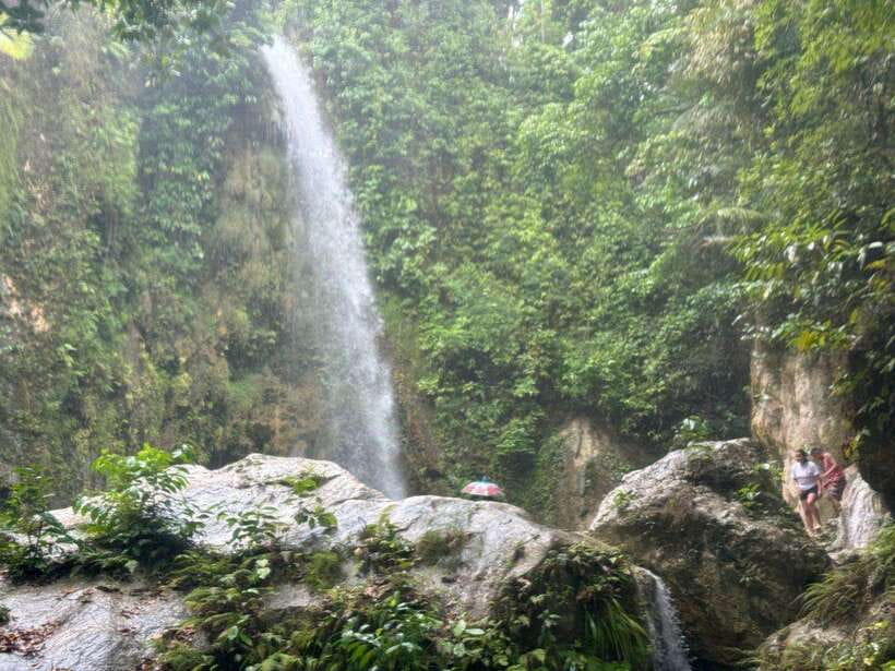 Cebu: Whale Shark, Inambakan Falls & Moalboal Sardine Tour - Breakfast on the road, at your own cost