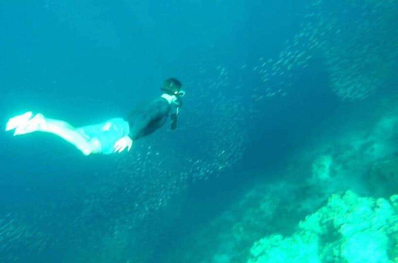 Cebu: Whale Shark, Inambakan Falls & Moalboal Sardine Tour - What the $123 price really covers