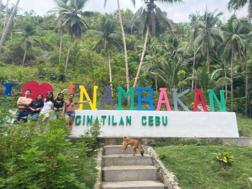 Cebu: Whale Shark, Inambakan Falls & Moalboal Sardine Tour - Swimming beside Oslob’s whale sharks