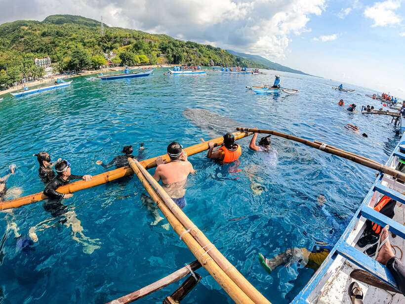 Cebu: Whale Shark Snorkeling & Kawasan Canyoning Tour - The guides make a real difference
