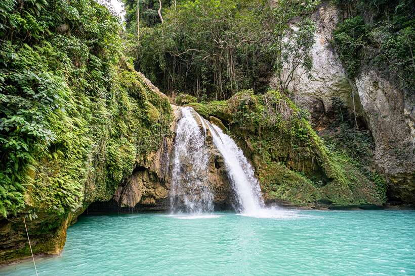 Cebu: Whale Shark Snorkeling & Kawasan Canyoning Tour - Who should book this experience