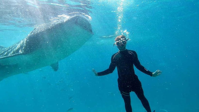 Cebu: Whale Shark Swim and Kawasan Canyoneering Tour - Kawasan Falls is the finish line