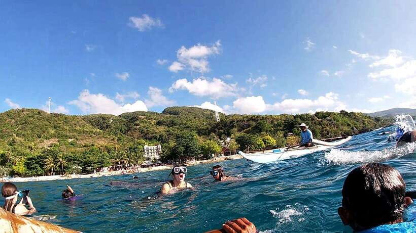 Cebu: Whale Shark Swim, Kawasan Falls & Moalboal Sardine Run - What the $122 price really buys
