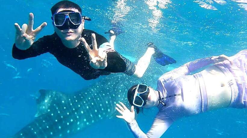 Cebu: Whale Shark Swim, Kawasan Falls & Moalboal Sardine Run - The early road to Oslob