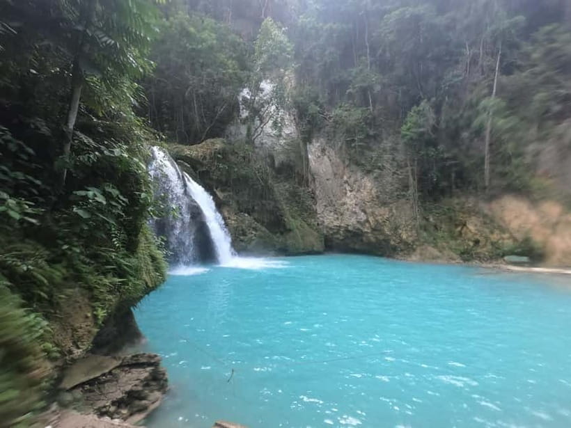 Cebu: Whale Sharks, Kawasan Falls, & Sardines Run Snorkeling - Three Cebu icons packed into one long day