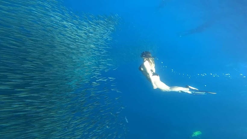 Cebu: Whale Sharks, Kawasan Falls, & Sardines Run Snorkeling - Kawasan Falls and the choice between swimming and canyoneering