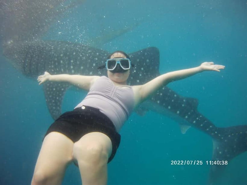 Cebu: Whale Sharks, Kawasan Falls, & Sardines Run Snorkeling - Why the driver can make or break the day