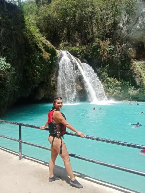 Cebu: Whale Sharks, Kawasan Falls, & Sardines Run Snorkeling - What the $135 price really buys you