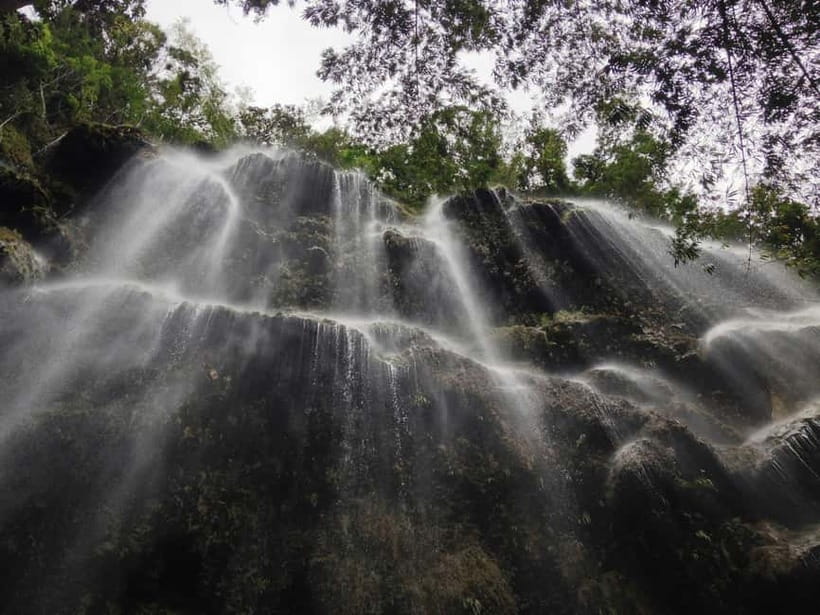 Cebu: Whaleshark Encounter, Sumilon Sandbar & Tumalog Falls - Guides, organization, and the reliability question