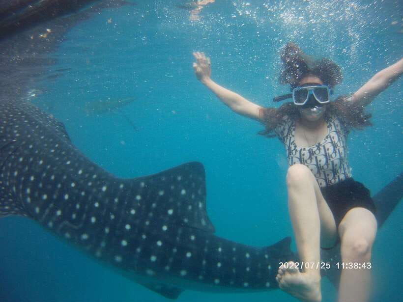 Cebu: Whaleshark Encounter, Tumalog Falls & Sumilon Sandbar - Sumilon Island and its shifting sandbar