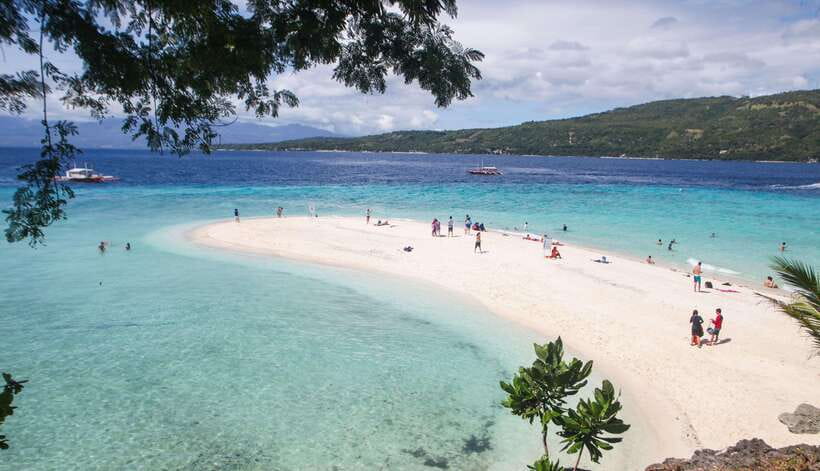 Cebu: Whaleshark Encounter, Tumalog Falls & Sumilon Sandbar - Who will enjoy this day most