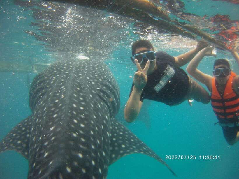 Cebu: WhaleShark , Tumalog Falls, & Sardine Run Snorkeling - Tumalog Falls: a cool break from the coast