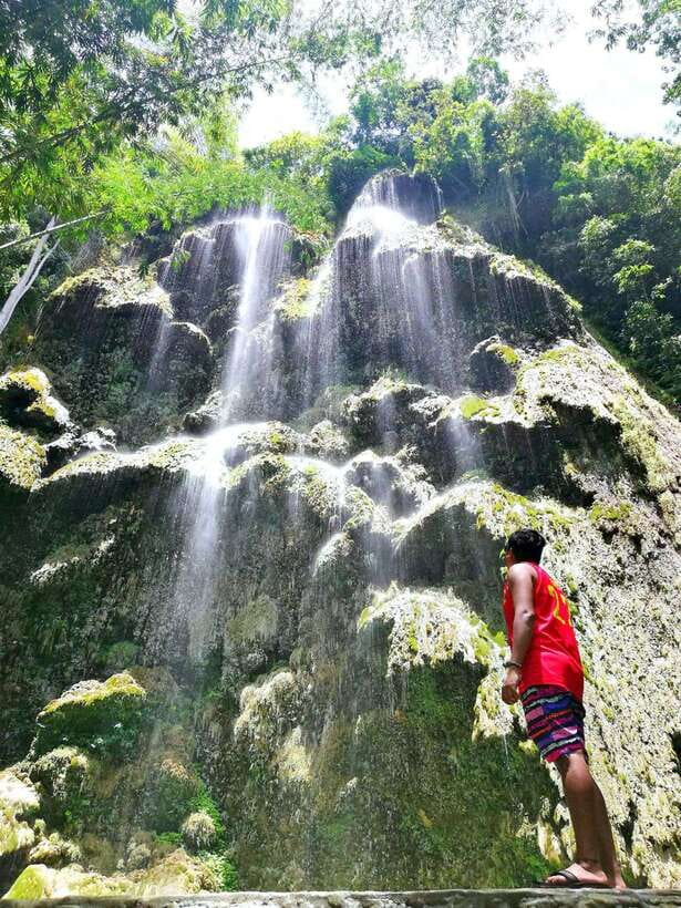 Cebu: WhaleShark , Tumalog Falls, & Sardine Run Snorkeling - Who should book this Cebu tour?
