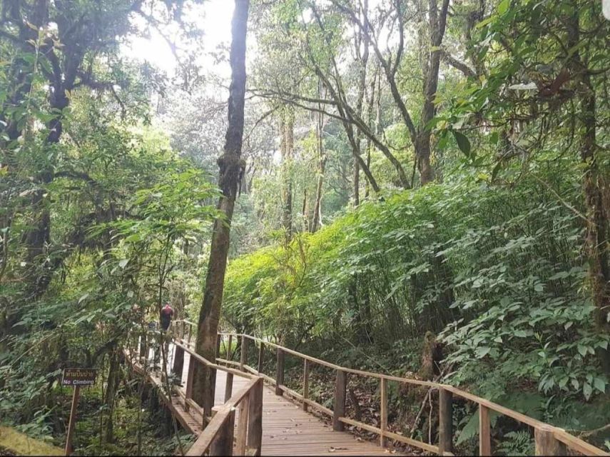 Chang Mai: Doi Inthanon Day Tour w/Waterfalls & Hilltribes - The King’s and Queen’s Pagodas