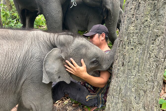Chiang Mai 1 Day: Elephant Sanctuary, Waterfall & Bamboo Rafting - Leaving Chiang Mai around 7:30am