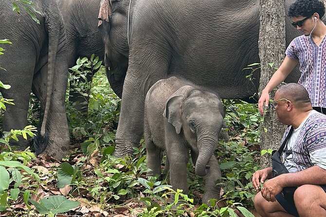 Chiang Mai 1 Day: Elephant Sanctuary, Waterfall & Bamboo Rafting - Walking and bathing with the elephants
