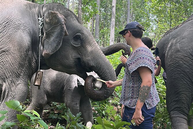 Chiang Mai 1 Day: Elephant Sanctuary, Waterfall & Bamboo Rafting - Bamboo rafting through the countryside