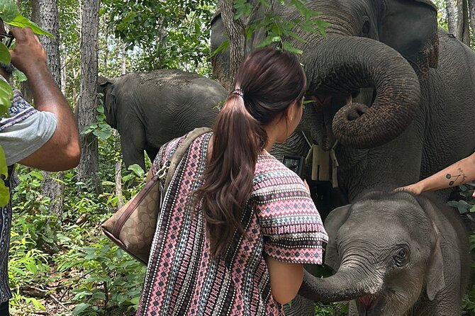 Chiang Mai 1 Day: Elephant Sanctuary, Waterfall & Bamboo Rafting - What the $77.99 price covers