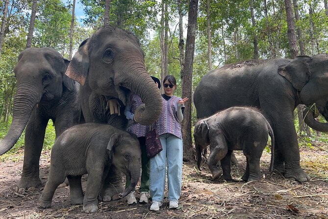 Chiang Mai 1 Day: Elephant Sanctuary, Waterfall & Bamboo Rafting - Who will enjoy this day most