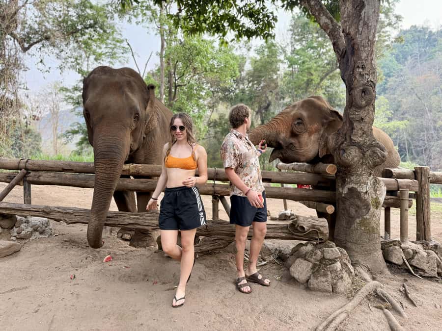 Chiang Mai 2-Day: Trekking, Tubing & Elephant Observation - Is $102 good value?