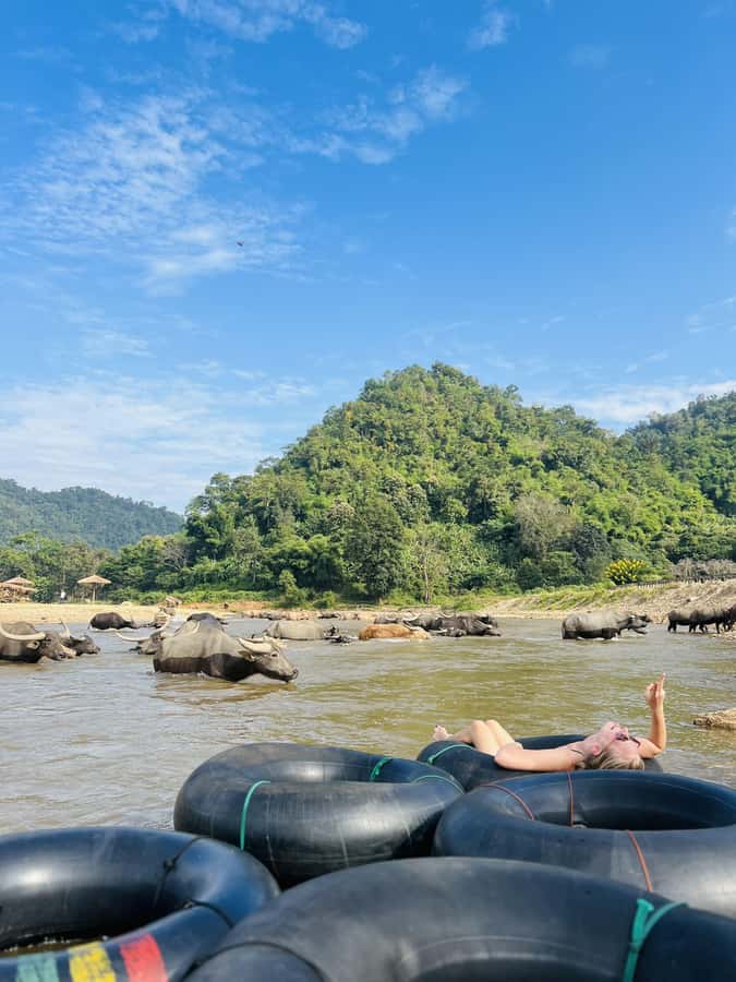 Chiang Mai 2-Day: Trekking, Tubing & Elephant Observation - Elephant observation without riding