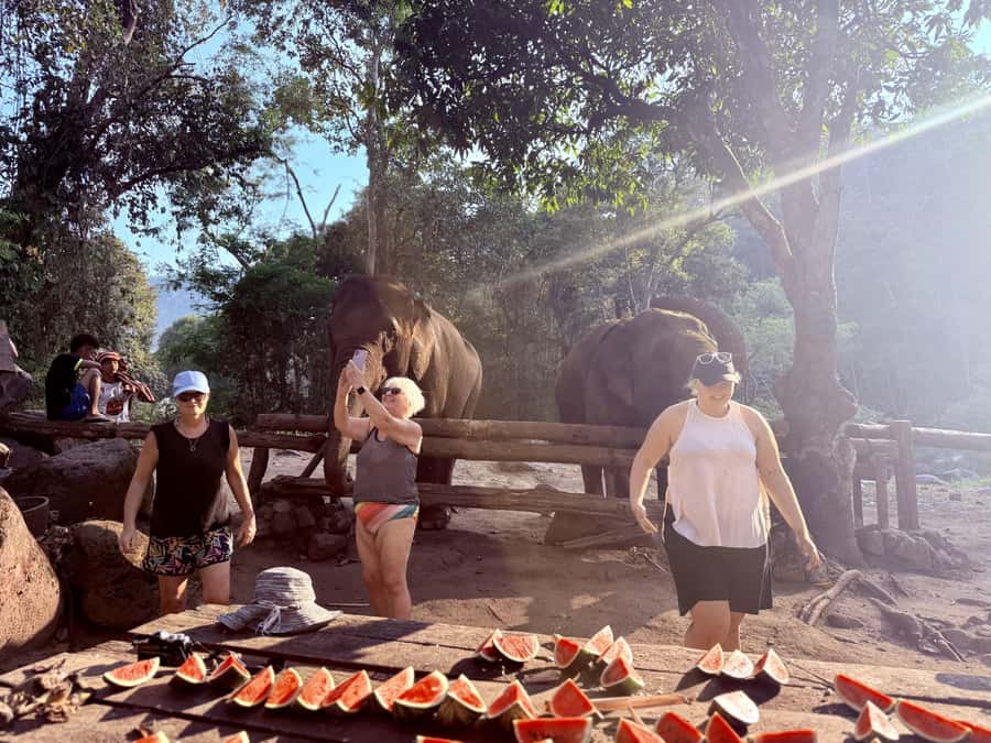 Chiang Mai 2-Day: Trekking, Tubing & Elephant Observation - Dinner, stars, and the forest cabin