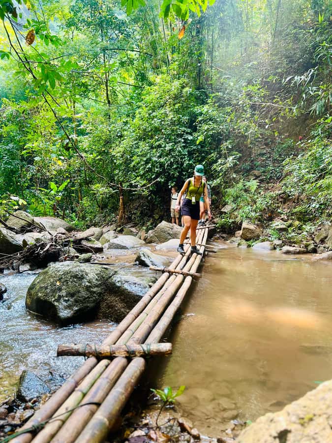 Chiang Mai 2-Day: Trekking, Tubing & Elephant Observation - A simple second morning