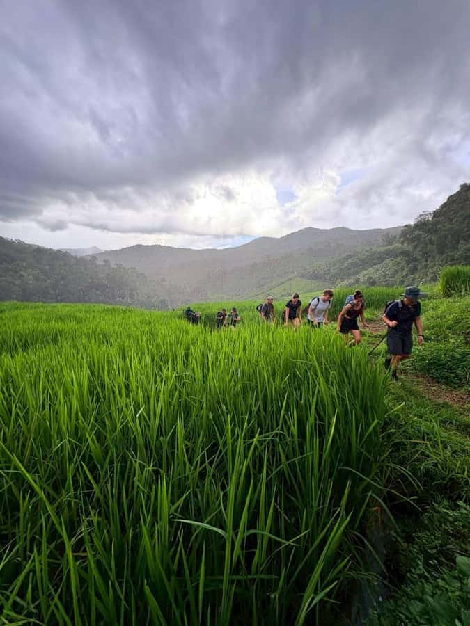 Chiang Mai: 2-Days Jungle Trek, Waterfalls and Karen Village - Who will enjoy this trek most