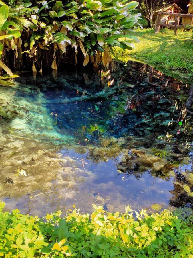 Chiang Mai: 22 km XC Mountain Biking from Sticky Waterfall - Should You Book It?