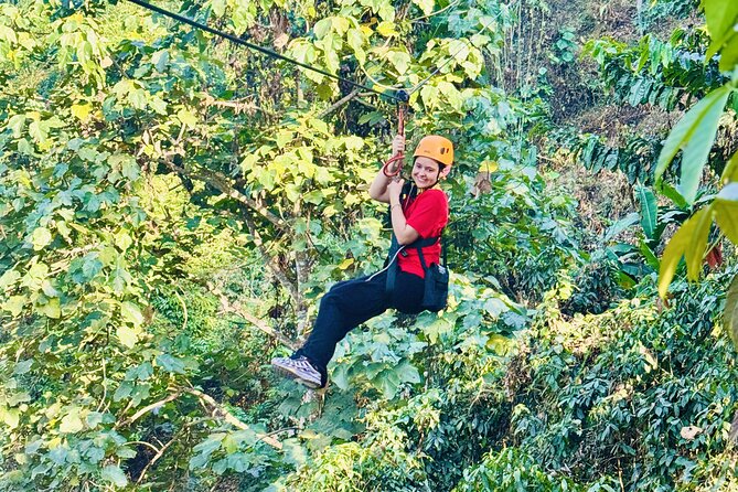 Chiang Mai 3 in 1 Zipline, Elephants and Sticky Waterfall - One day, three very different Chiang Mai outings