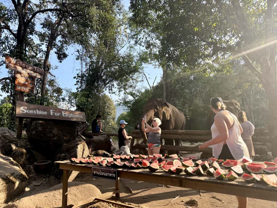 Chiang Mai Adventure: Trekking, Tubing & Waterfall Slide - Thai lunch and a proper pause