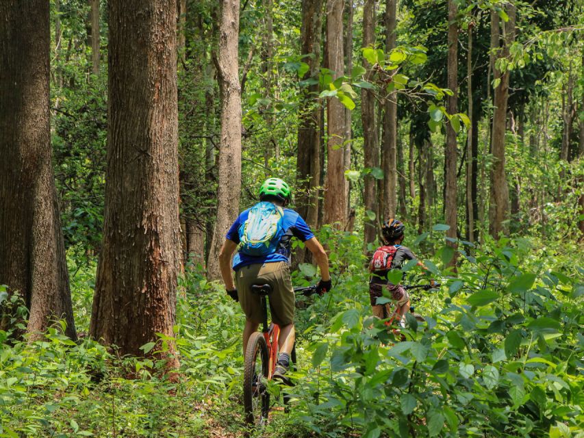 Chiang Mai: Boat Ride and Cycling Tour to Sticky Waterfall - Why this route is more than a ride to a waterfall