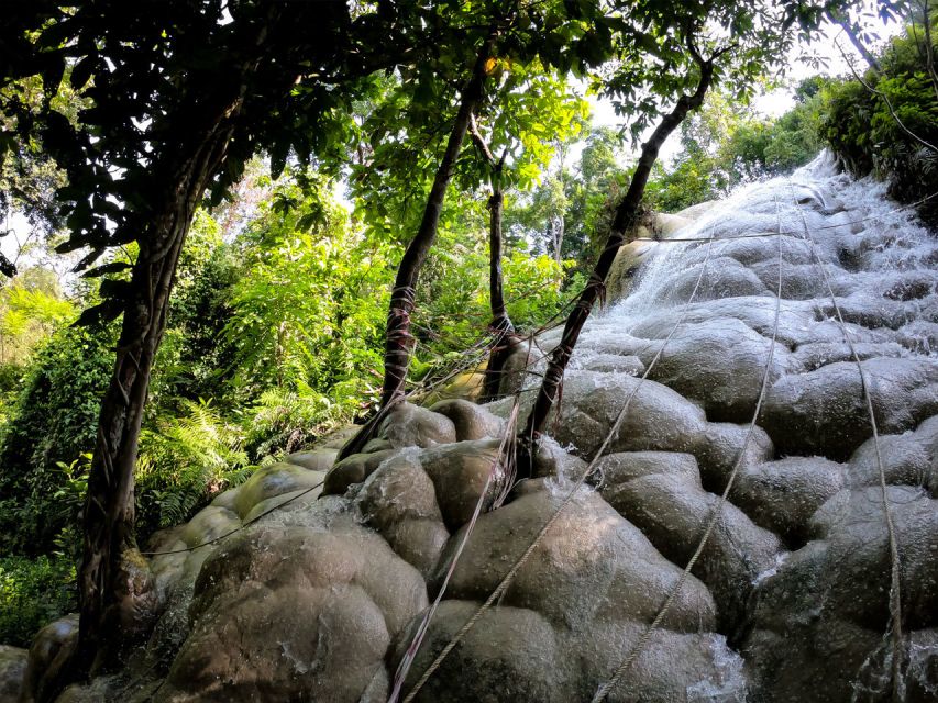Chiang Mai: Boat Ride and Cycling Tour to Sticky Waterfall - Teak forest trails and the bat cave