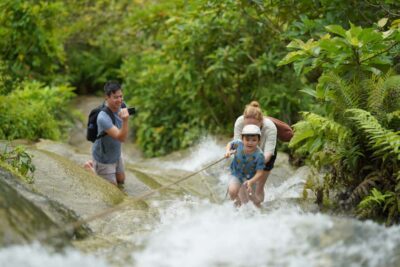 Chiang Mai: Bua Thong Sticky Waterfall & Huge Cave & Buffet