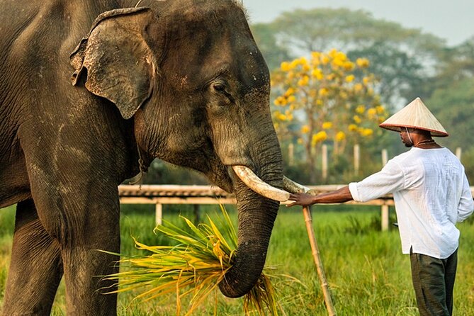 Chiang Mai Chapulin Elephant Care and Sticky Waterfall - Lunch, drinks, and the cafe stop