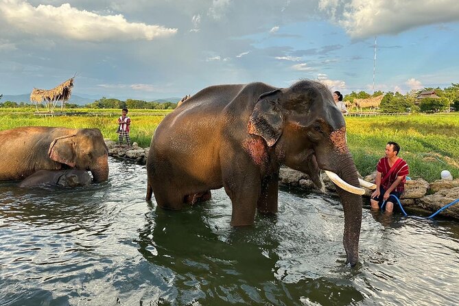 Chiang Mai Chapulin Elephant Care and Sticky Waterfall - Adding Bua Tong Sticky Waterfall