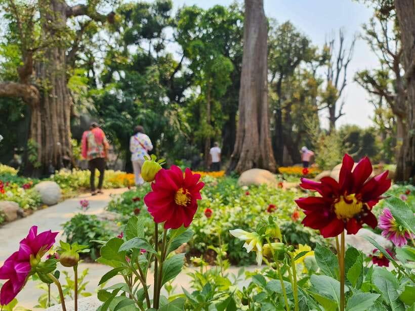 Chiang Mai: Dantewada Land of Angels & Sticky Waterfall Tour - What to pack for water, sun, and the sacred fountain