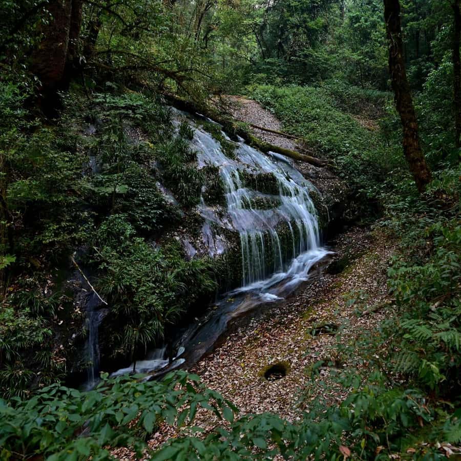Chiang Mai: Doi Inthanon National Park, Waterfall & Lunch - What to pack and who should skip it