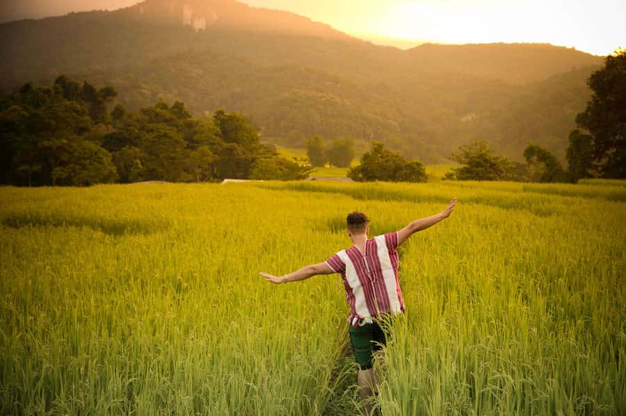 Chiang Mai: Doi Inthanon National Park, Waterfall & Lunch - The guide can shape the whole day