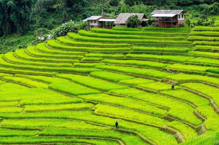 Chiang Mai Doi Inthanon Park Waterfall Pure Sightseeing Tour - Transport, luggage, and the long return drive
