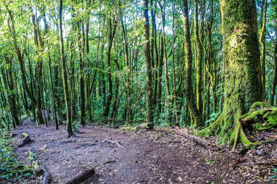 Chiang Mai: Doi Inthanon, Waterfalls, & Tribal Villages Tour - Waterfalls with real force after rain